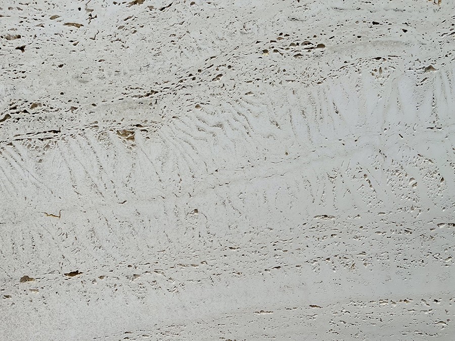 Super White Travertine Unfilled 02.jpg